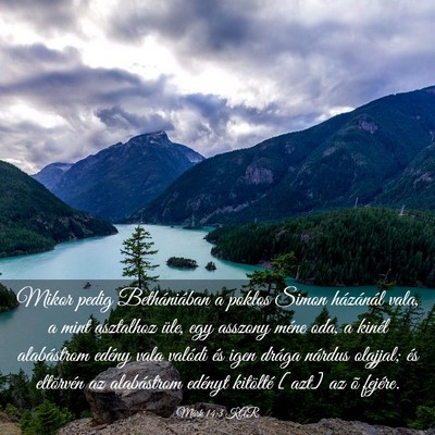 Picture 03 - Márk 14:3 KAR - Mikor pedig Bethániában a poklos Simon - Bible Verse Picture