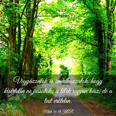 Picture 03 - Márk 14:38 KAR - Vigyázzatok és imádkozzatok, hogy kísértetbe - Bible Verse Picture