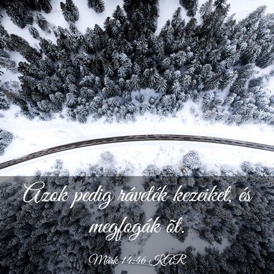 Picture 03 - Márk 14:46 KAR - Azok pedig ráveték kezeiket, és megfogák - Bible Verse Picture