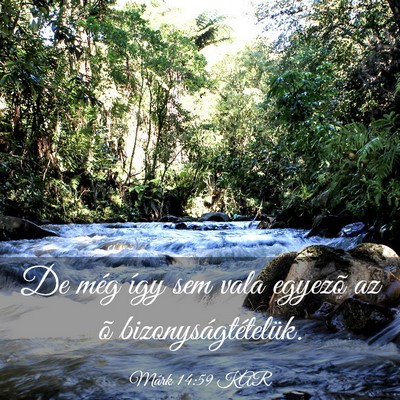 Picture 03 - Márk 14:59 KAR - De még így sem vala egyezõ az õ - Bible Verse Picture