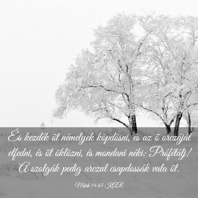 Picture 03 - Márk 14:65 KAR - És kezdék õt némelyek köpdösni, és az õ - Bible Verse Picture