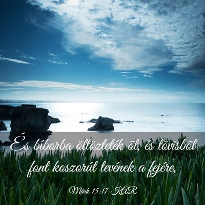 Picture 03 - Márk 15:17 KAR - És bíborba öltözteték õt, és tövisbõl - Bible Verse Picture