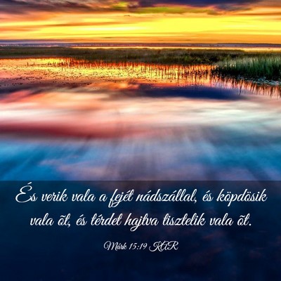 Picture 03 - Márk 15:19 KAR - És verik vala a fejét nádszállal, és - Bible Verse Picture