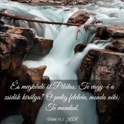 Picture 03 - Márk 15:2 KAR - És megkérdé õt Pilátus: Te vagy-é a zsidók - Bible Verse Picture