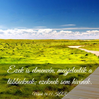 Picture 03 - Márk 16:13 KAR - Ezek is elmenvén, megjelenték a többieknek; - Bible Verse Picture