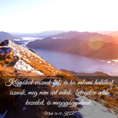 Picture 03 - Márk 16:18 KAR - Kígyókat vesznek föl; és ha valami halálost - Bible Verse Picture