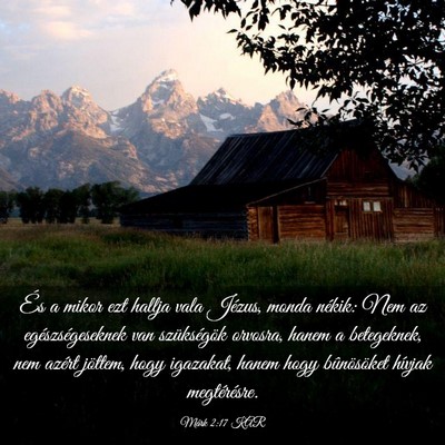 Picture 03 - Márk 2:17 KAR - És a mikor ezt hallja vala Jézus, monda nékik: - Bible Verse Picture