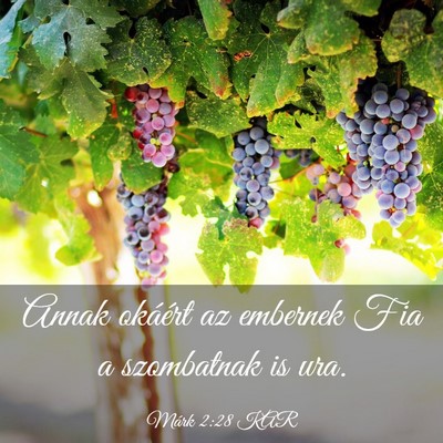 Picture 03 - Márk 2:28 KAR - Annak okáért az embernek Fia a szombatnak is - Bible Verse Picture