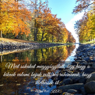Picture 03 - Márk 3:10 KAR - Mert sokakat meggyógyított, úgy hogy a kiknek - Bible Verse Picture