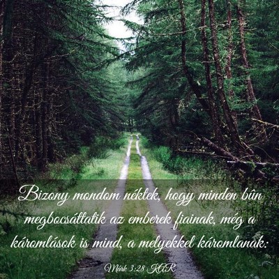 Picture 03 - Márk 3:28 KAR - Bizony mondom néktek, hogy minden bûn - Bible Verse Picture