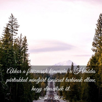 Picture 03 - Márk 3:6 KAR - Akkor a farizeusok kimenvén, a Heródes - Bible Verse Picture
