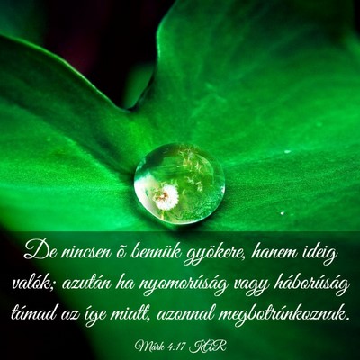 Picture 03 - Márk 4:17 KAR - De nincsen õ bennük gyökere, hanem ideig - Bible Verse Picture