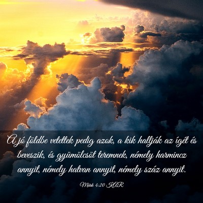 Picture 03 - Márk 4:20 KAR - A jó földbe vetettek pedig azok, a kik hallják - Bible Verse Picture