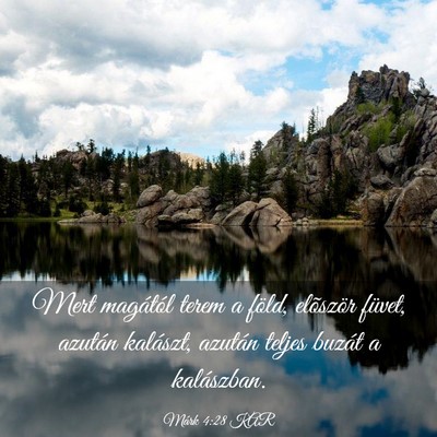 Picture 03 - Márk 4:28 KAR - Mert magától terem a föld, elõször füvet, - Bible Verse Picture