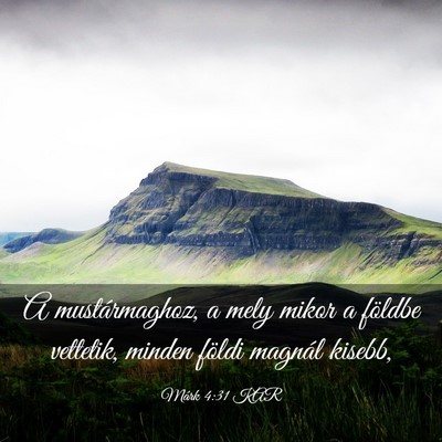 Picture 03 - Márk 4:31 KAR - A mustármaghoz, a mely mikor a földbe vettetik, - Bible Verse Picture