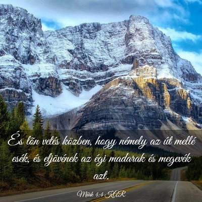 Picture 03 - Márk 4:4 KAR - És lõn vetés közben, hogy némely az út - Bible Verse Picture