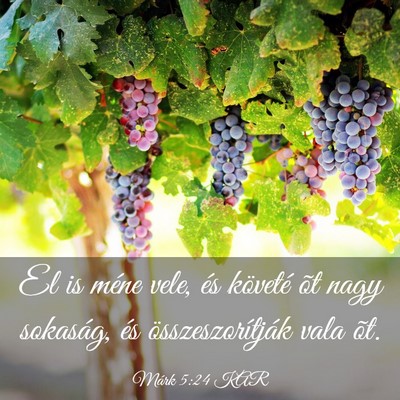 Picture 03 - Márk 5:24 KAR - El is méne vele, és követé õt nagy sokaság, - Bible Verse Picture