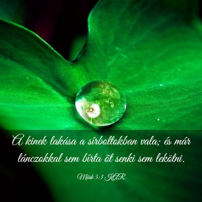 Picture 03 - Márk 5:3 KAR - A kinek lakása a sírboltokban vala; és már - Bible Verse Picture