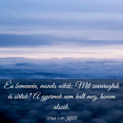 Picture 03 - Márk 5:39 KAR - És bemenvén, monda nékik: Mit zavarogtok és - Bible Verse Picture