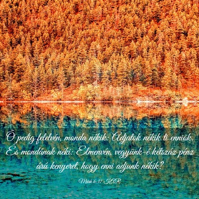 Picture 03 - Márk 6:37 KAR - Õ pedig felelvén, monda nékik: Adjatok nékik - Bible Verse Picture