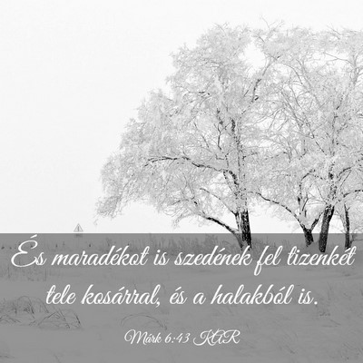 Picture 03 - Márk 6:43 KAR - És maradékot is szedének fel tizenkét tele - Bible Verse Picture