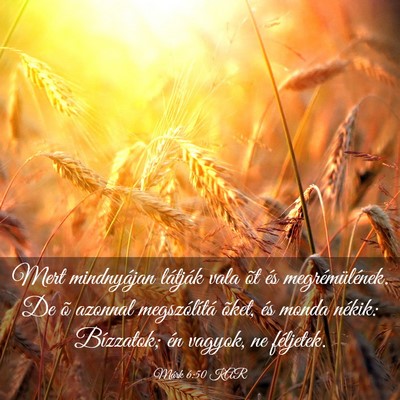 Picture 03 - Márk 6:50 KAR - Mert mindnyájan látják vala õt és - Bible Verse Picture