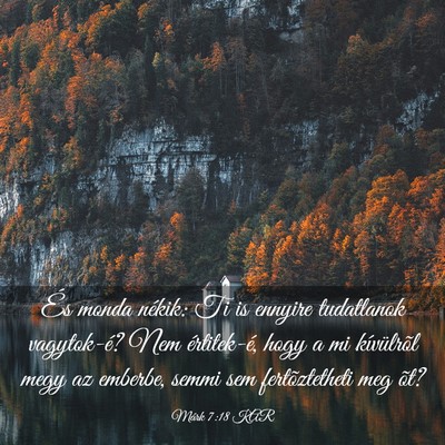 Picture 03 - Márk 7:18 KAR - És monda nékik: Ti is ennyire tudatlanok - Bible Verse Picture