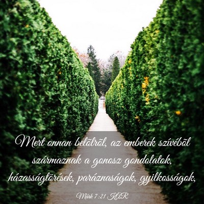 Picture 03 - Márk 7:21 KAR - Mert onnan belõlrõl, az emberek szívébõl - Bible Verse Picture
