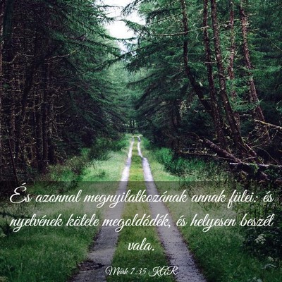 Picture 03 - Márk 7:35 KAR - És azonnal megnyilatkozának annak fülei: és - Bible Verse Picture