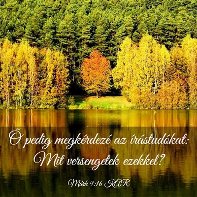 Picture 03 - Márk 9:16 KAR - Õ pedig megkérdezé az írástudókat: Mit - Bible Verse Picture