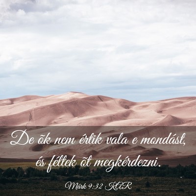Picture 03 - Márk 9:32 KAR - De õk nem értik vala e mondást, és féltek - Bible Verse Picture