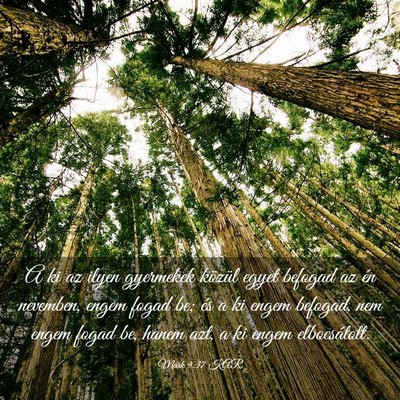 Picture 03 - Márk 9:37 KAR - A ki az ilyen gyermekek közül egyet befogad az - Bible Verse Picture
