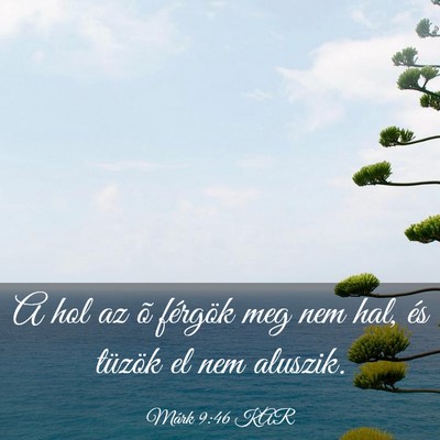 Picture 03 - Márk 9:46 KAR - A hol az õ férgök meg nem hal, és tüzök el - Bible Verse Picture