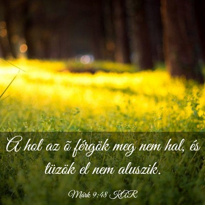 Picture 03 - Márk 9:48 KAR - A hol az õ férgök meg nem hal, és tüzök el - Bible Verse Picture