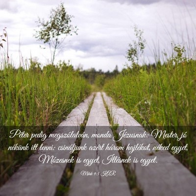 Picture 03 - Márk 9:5 KAR - Péter pedig megszólalván, monda Jézusnak: - Bible Verse Picture