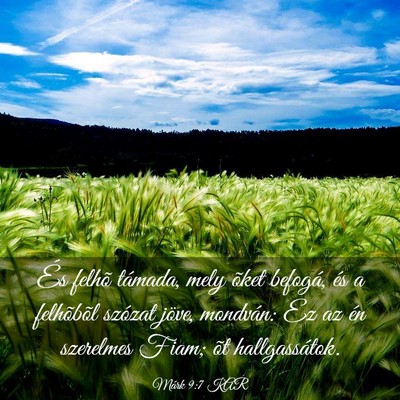 Picture 03 - Márk 9:7 KAR - És felhõ támada, mely õket befogá, és a - Bible Verse Picture