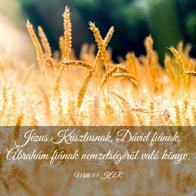 Picture 03 - Máté 1:1 KAR - Jézus Krisztusnak, Dávid fiának, Ábrahám - Bible Verse Picture