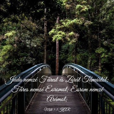 Picture 03 - Máté 1:3 KAR - Júda nemzé Fárest és Zárát Támártól; - Bible Verse Picture
