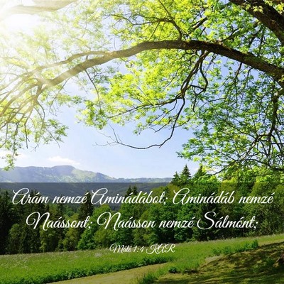 Picture 03 - Máté 1:4 KAR - Arám nemzé Aminádábot; Aminádáb nemzé - Bible Verse Picture