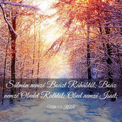 Picture 03 - Máté 1:5 KAR - Sálmón nemzé Boázt Ráhábtól; Boáz nemzé - Bible Verse Picture