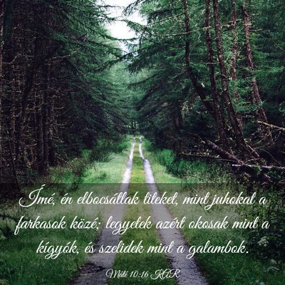 Picture 03 - Máté 10:16 KAR - Ímé, én elbocsátlak titeket, mint juhokat a - Bible Verse Picture