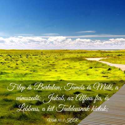 Picture 03 - Máté 10:3 KAR - Filep és Bertalan; Tamás és Máté, a - Bible Verse Picture
