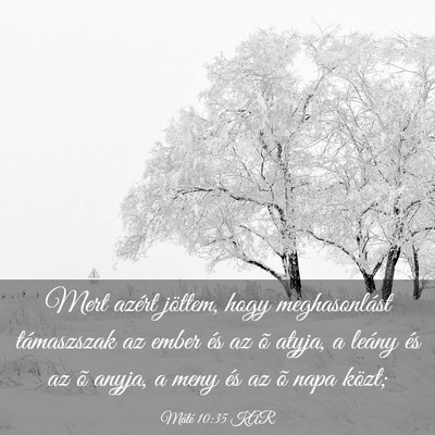 Picture 03 - Máté 10:35 KAR - Mert azért jöttem, hogy meghasonlást - Bible Verse Picture