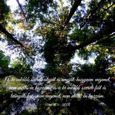 Picture 03 - Máté 10:37 KAR - A ki inkább szereti atyját és anyját, hogynem - Bible Verse Picture