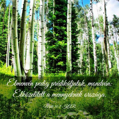 Picture 03 - Máté 10:7 KAR - Elmenvén pedig prédikáljatok, mondván: - Bible Verse Picture