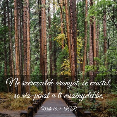 Picture 03 - Máté 10:9 KAR - Ne szerezzetek aranyat, se ezüstöt, se - Bible Verse Picture