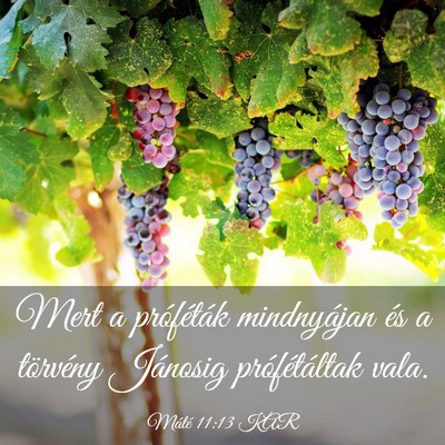 Picture 03 - Máté 11:13 KAR - Mert a próféták mindnyájan és a törvény - Bible Verse Picture