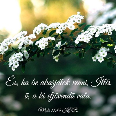 Picture 03 - Máté 11:14 KAR - És, ha be akarjátok venni, Illés õ, a ki - Bible Verse Picture