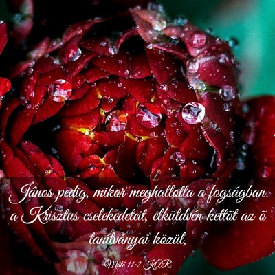 Picture 03 - Máté 11:2 KAR - János pedig, mikor meghallotta a fogságban a - Bible Verse Picture
