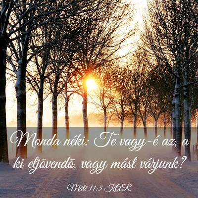 Picture 03 - Máté 11:3 KAR - Monda néki: Te vagy-é az, a ki eljövendõ, - Bible Verse Picture